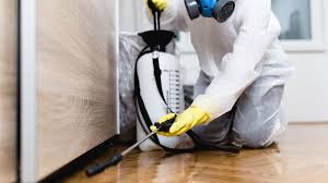 Best Termite Inspection and Treatment  in USA